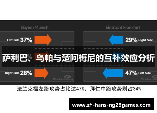 萨利巴、乌帕与楚阿梅尼的互补效应分析