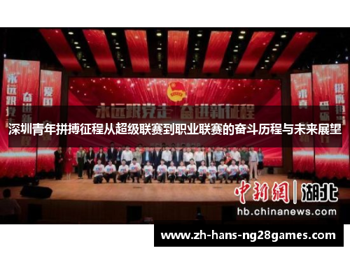 深圳青年拼搏征程从超级联赛到职业联赛的奋斗历程与未来展望