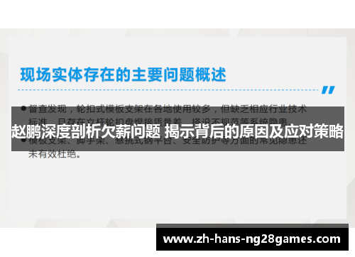 赵鹏深度剖析欠薪问题 揭示背后的原因及应对策略